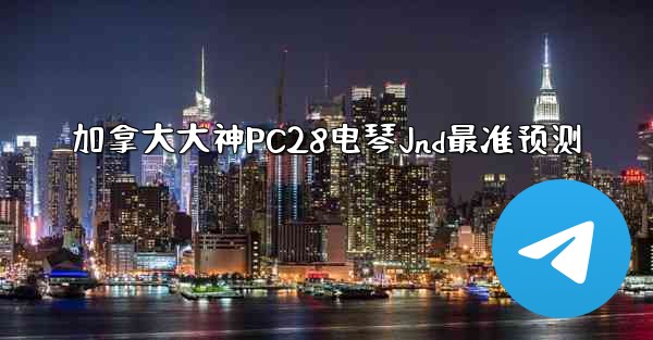 加拿大大神PC28电琴Jnd最准预测