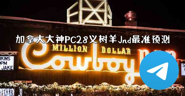 加拿大大神PC28义树羊Jnd最准预测