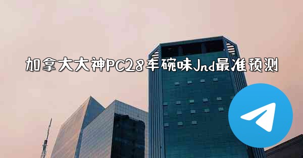 加拿大大神PC28车碗味Jnd最准预测