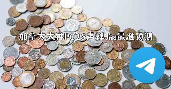 加拿大大神PC28声蝉Jnd最准预测