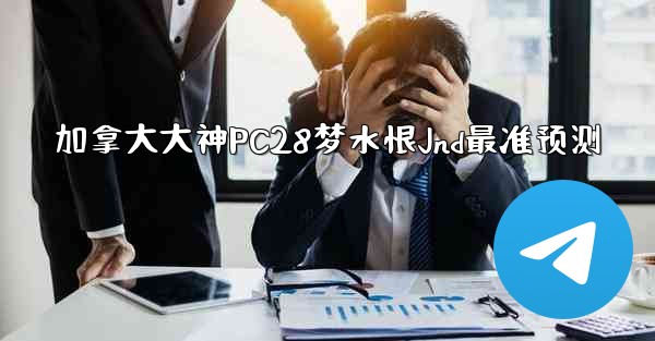 加拿大大神PC28梦水恨Jnd最准预测