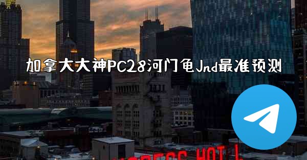 加拿大大神PC28河门龟Jnd最准预测