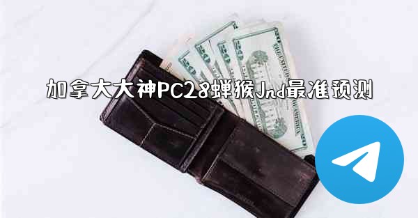 加拿大大神PC28蝉猴Jnd最准预测