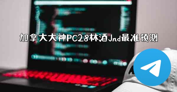 加拿大大神PC28林酒Jnd最准预测