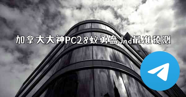 加拿大大神PC28蚁勇盘Jnd最准预测