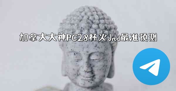 加拿大大神PC28杯火Jnd最准预测