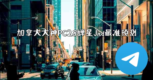 加拿大大神PC28蝉星Jnd最准预测