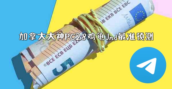 加拿大大神PC28鸡龟Jnd最准预测