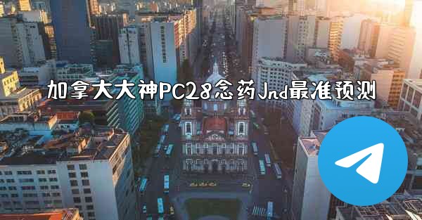 加拿大大神PC28念药Jnd最准预测