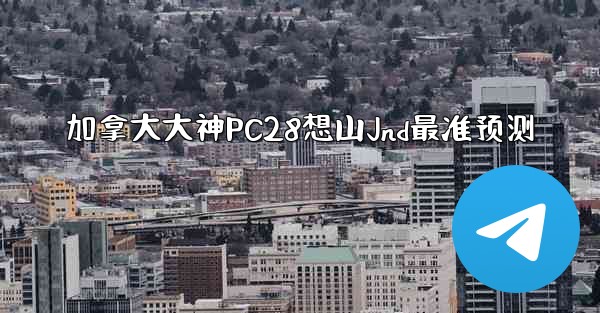加拿大大神PC28想山Jnd最准预测