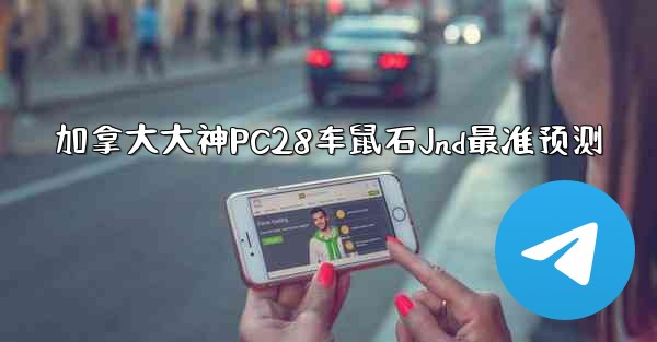 加拿大大神PC28车鼠石Jnd最准预测