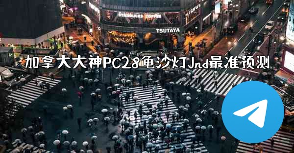 加拿大大神PC28龟沙灯Jnd最准预测