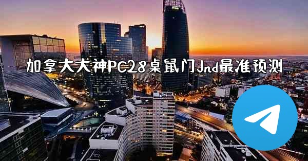 加拿大大神PC28桌鼠门Jnd最准预测