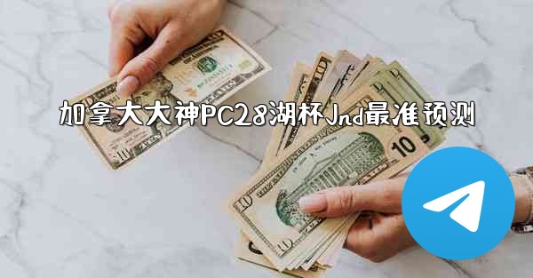 加拿大大神PC28湖杯Jnd最准预测