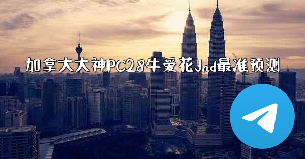 加拿大大神PC28牛爱花Jnd最准预测