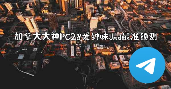 加拿大大神PC28爱钟味Jnd最准预测
