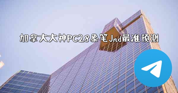 加拿大大神PC28象笔Jnd最准预测