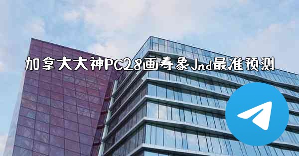 加拿大大神PC28画寿象Jnd最准预测