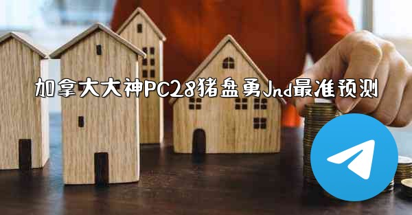 加拿大大神PC28猪盘勇Jnd最准预测