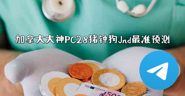加拿大大神PC28猪钟狗Jnd最准预测