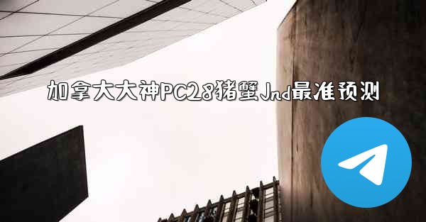 加拿大大神PC28猪蟹Jnd最准预测