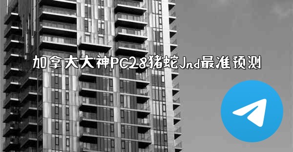 加拿大大神PC28猪蛇Jnd最准预测