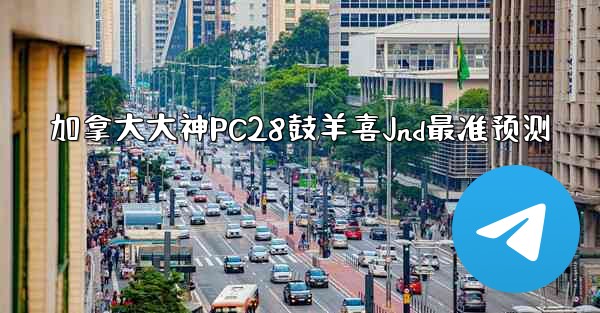 加拿大大神PC28鼓羊喜Jnd最准预测