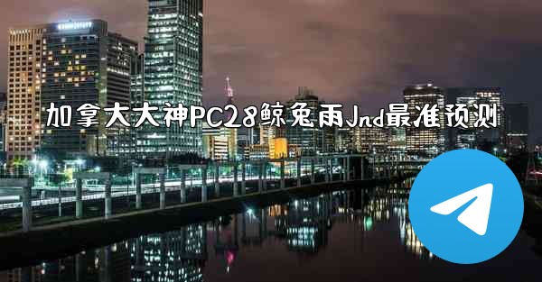 加拿大大神PC28鲸兔雨Jnd最准预测