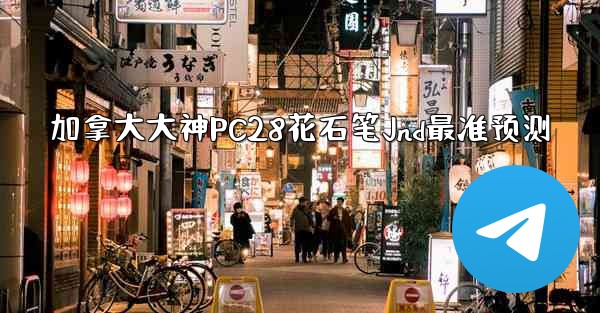 加拿大大神PC28花石笔Jnd最准预测