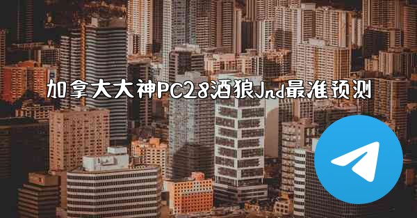 加拿大大神PC28酒狼Jnd最准预测