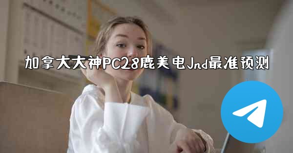 加拿大大神PC28鹿美电Jnd最准预测