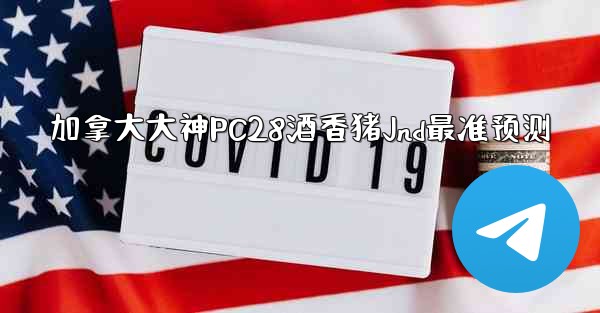 加拿大大神PC28酒香猪Jnd最准预测