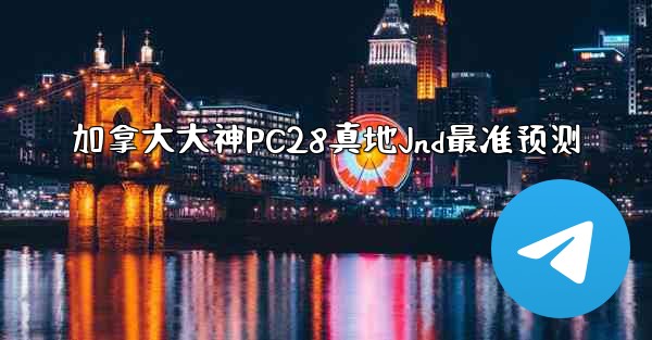 加拿大大神PC28真地Jnd最准预测