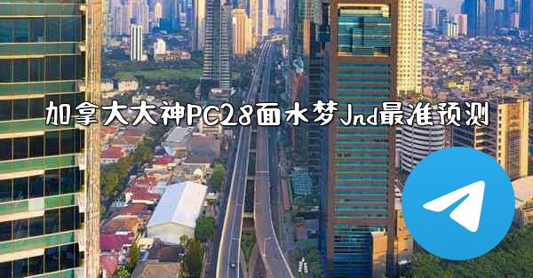加拿大大神PC28面水梦Jnd最准预测