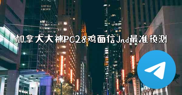 加拿大大神PC28鸡面信Jnd最准预测