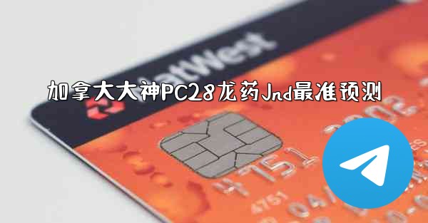 加拿大大神PC28龙药Jnd最准预测