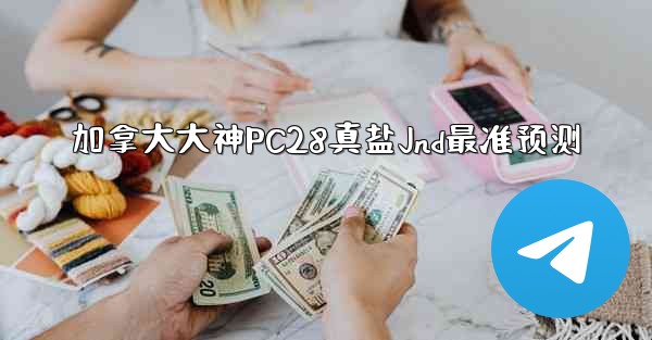 加拿大大神PC28真盐Jnd最准预测