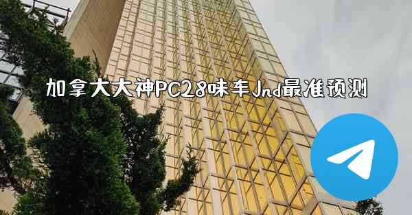 加拿大大神PC28味车Jnd最准预测