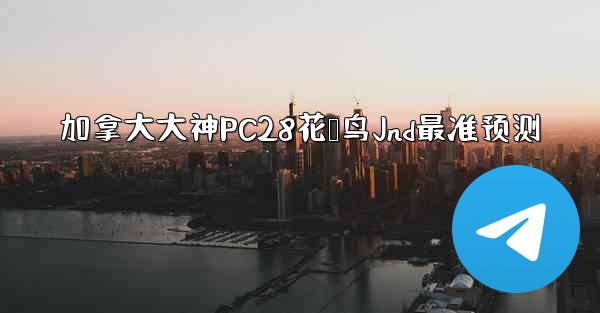 加拿大大神PC28花鸭鸟Jnd最准预测