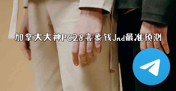 加拿大大神PC28喜象钱Jnd最准预测