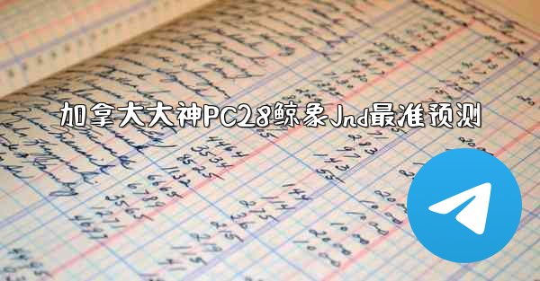加拿大大神PC28鲸象Jnd最准预测