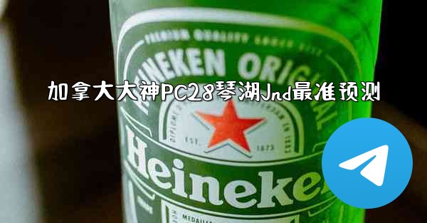 加拿大大神PC28琴湖Jnd最准预测