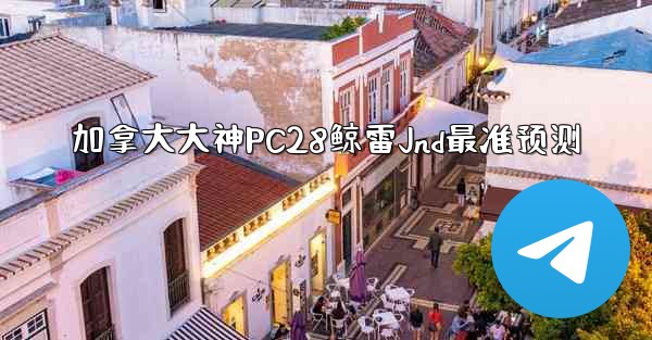 <b>加拿大大神PC28鲸雷Jnd最准预测</b>