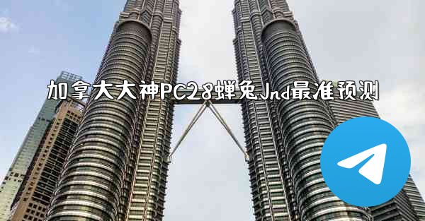 加拿大大神PC28蝉兔Jnd最准预测