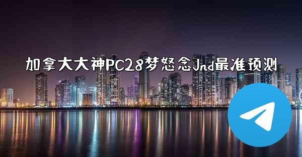 加拿大大神PC28梦怒念Jnd最准预测