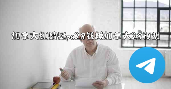 加拿大红蜻蜓pc28钱糖加拿大28预测