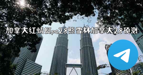 加拿大红蜻蜓pc28熊雪林加拿大28预测