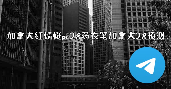 加拿大红蜻蜓pc28药衣笔加拿大28预测