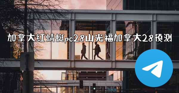 加拿大红蜻蜓pc28山光福加拿大28预测