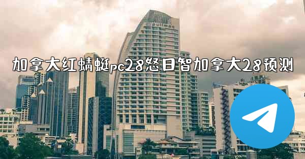 加拿大红蜻蜓pc28怒日智加拿大28预测